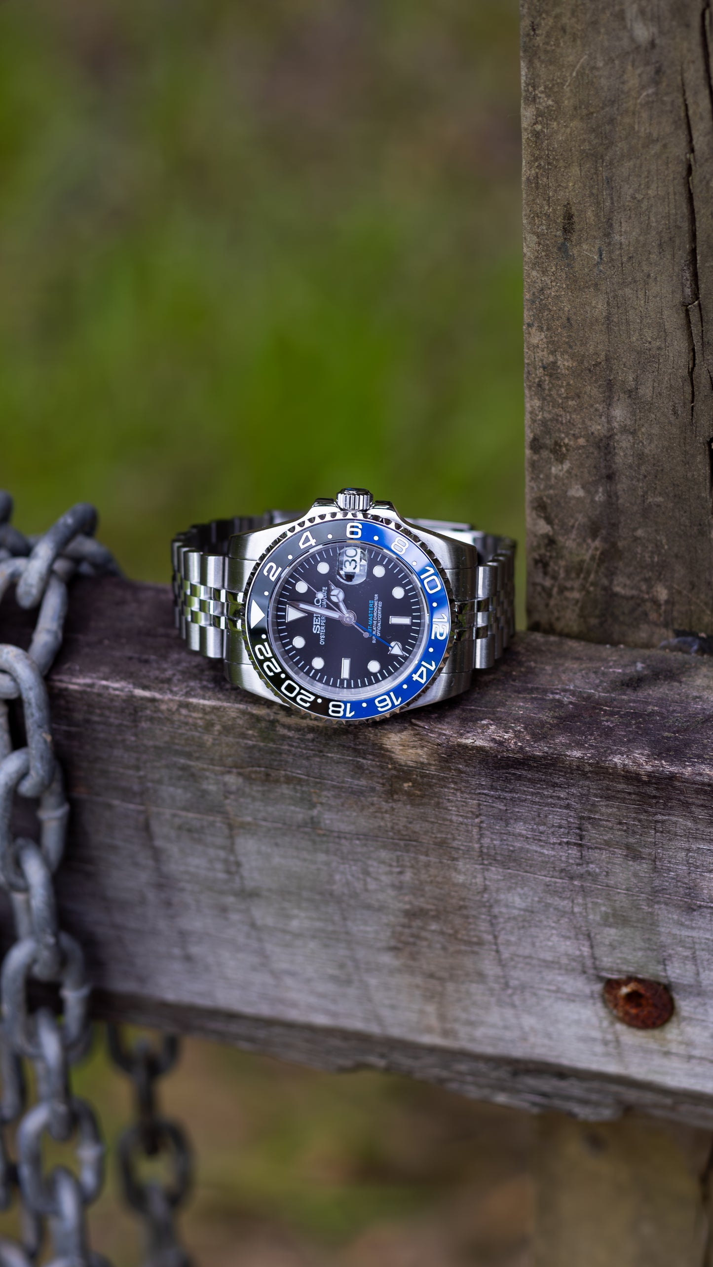 PrestigeWatchMods Custom Seiko "Bat Girl" GMT NH34 Automatic Watch